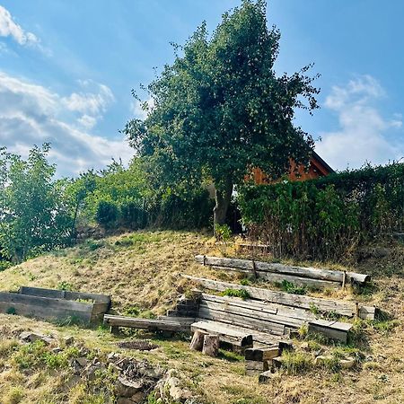 Banská Štiavnica Libling Ruzovyゲストハウス エクステリア 写真