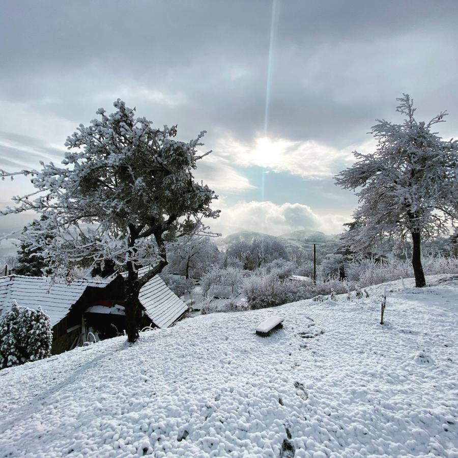 Banská Štiavnica Libling Ruzovyゲストハウス エクステリア 写真